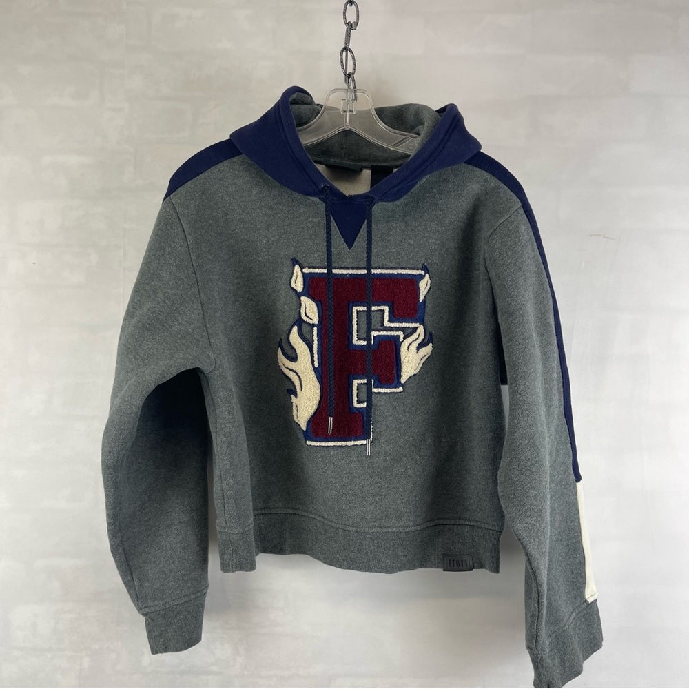 Puma x‎ Fenty by Rihanna Grey Crop Hoodie XXS Flame Letter Patch Sweatshirt